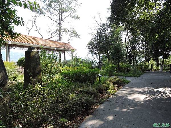 秀巒公園珍貴樹木20141018(7)