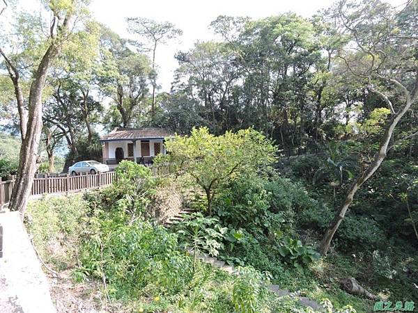 秀巒公園珍貴樹木20141018(11)