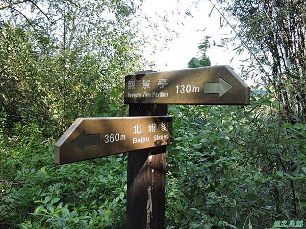 秀巒公園珍貴樹木20141018(17)