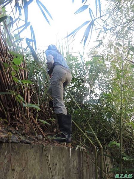 賀田山20140816(23)