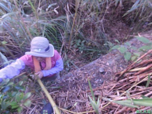 賀田山20140816(25)