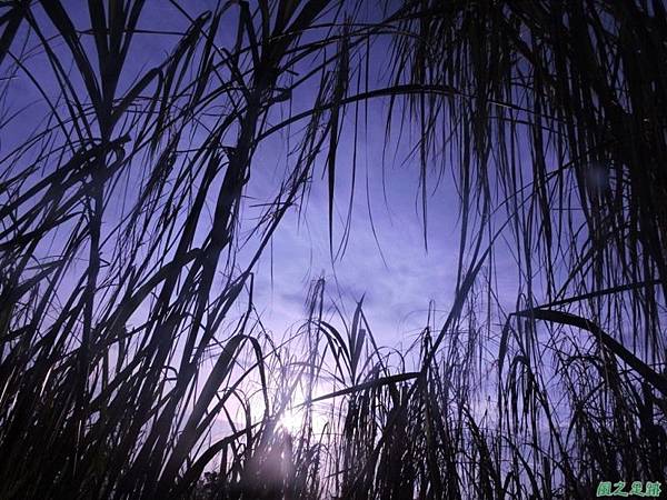 賀田山20140816(28)