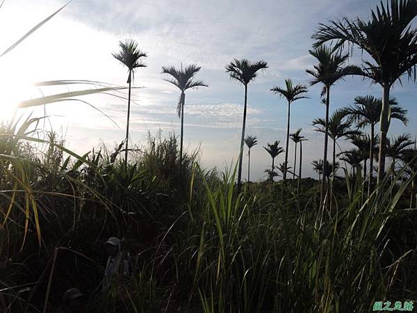 賀田山20140816(32)