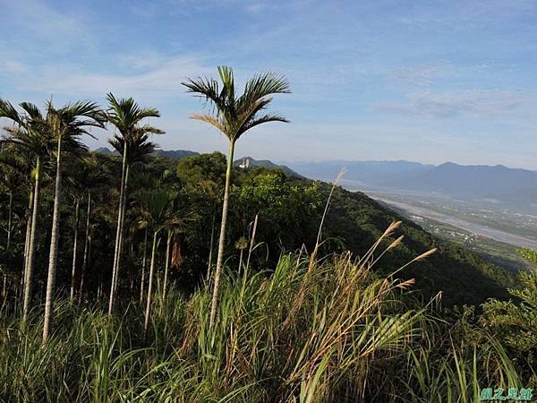 賀田山20140816(52)