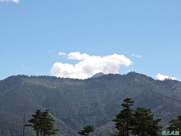 馬武佐野郡山20141102(108)