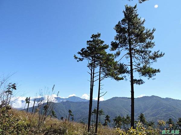 馬武佐野郡山20141102(62)