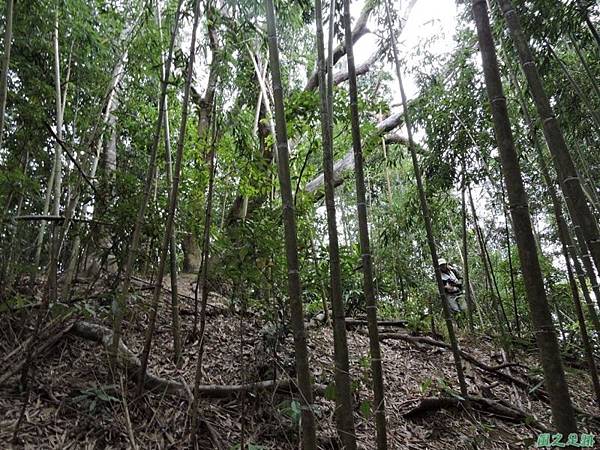 用心山20141213(52)