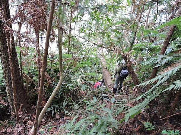 用心山20141213(55)