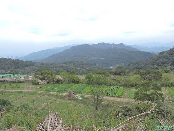 三腳木山20150219(9)