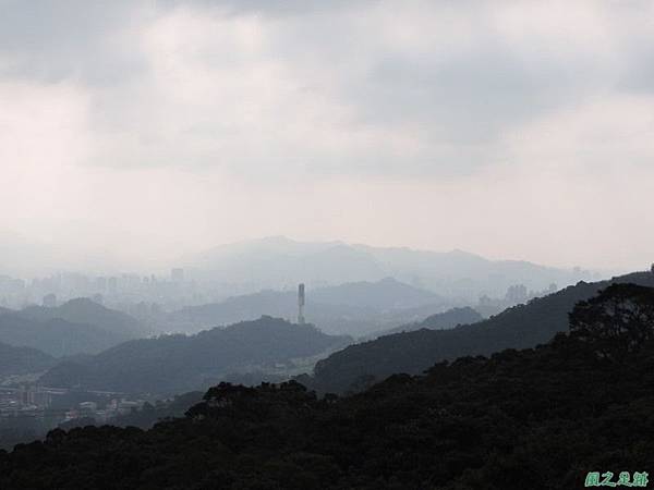 三腳木山20150219(35)