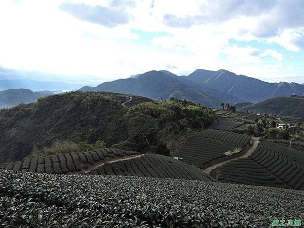 海鼠山20150215(53)