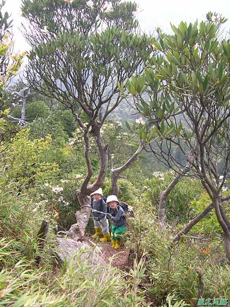 復興尖山20060422(39)