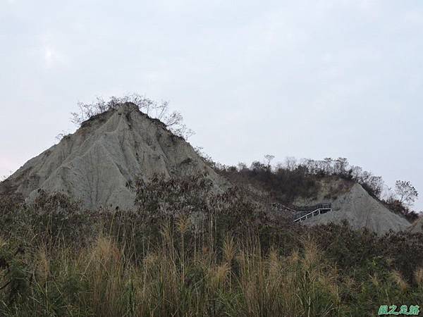 田寮月世界步道(25)