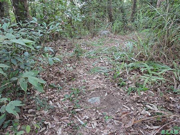 十文溪山20150613(24)