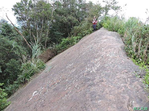 白石山20150812(43)