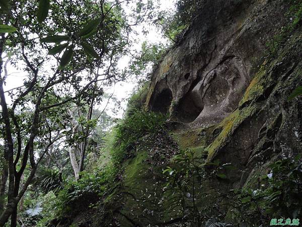 白石山20150812(58)