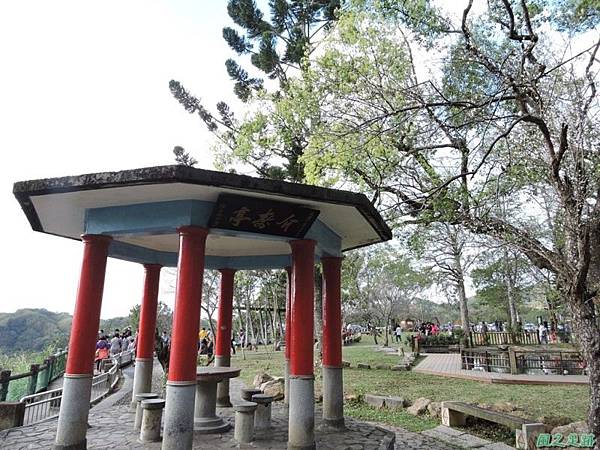 角板山梅花季20160116(54)