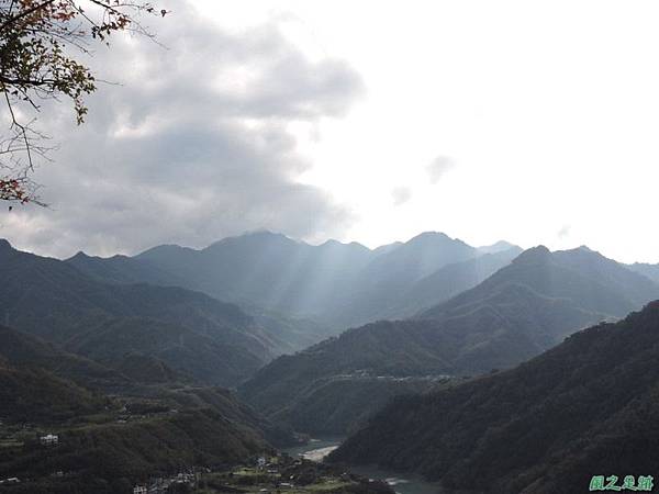 角板山梅花季20160116(53)