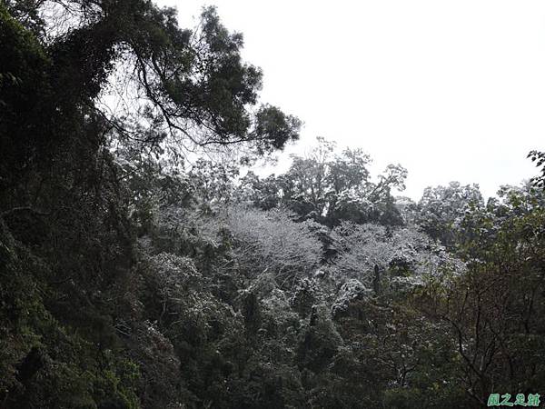 佛陀世界高點雪景20160124(5)