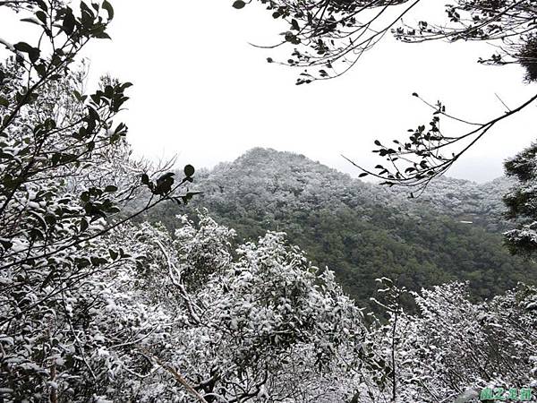 佛陀世界高點雪景20160124(14)