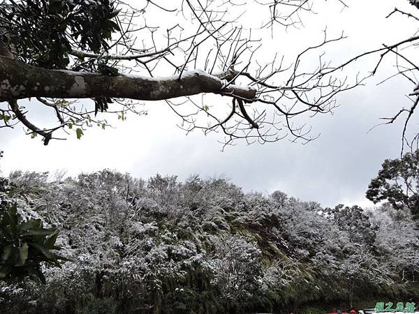 佛陀世界高點雪景20160124(15)