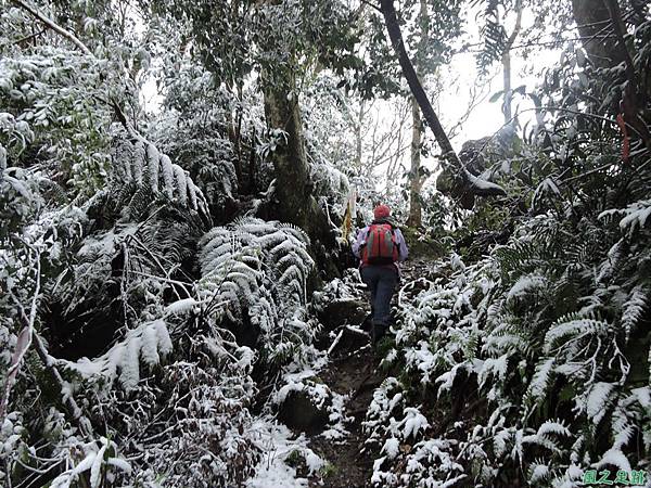 石牛山20160124(30)