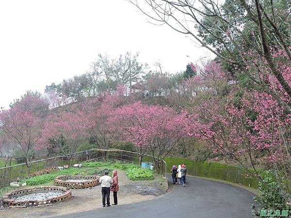 協雲宮20160220(10)
