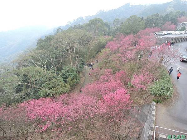 協雲宮20160220(15)