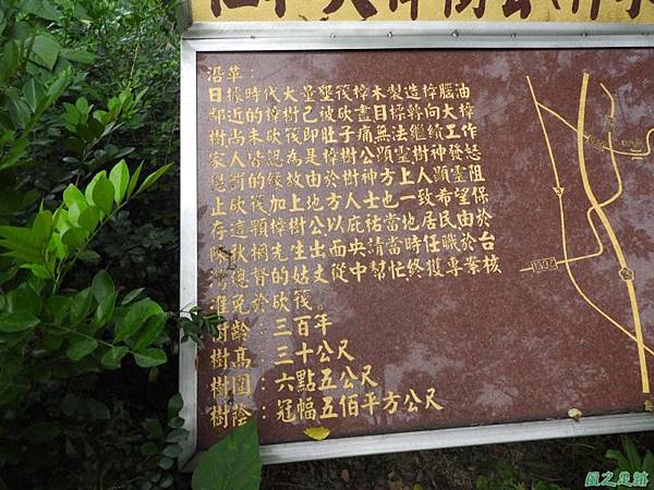 仁和大樟樹公20161112(6) 仁和大樟樹公20161112(6)