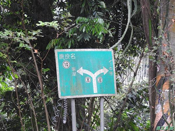 仁和大樟樹公20161112(39)