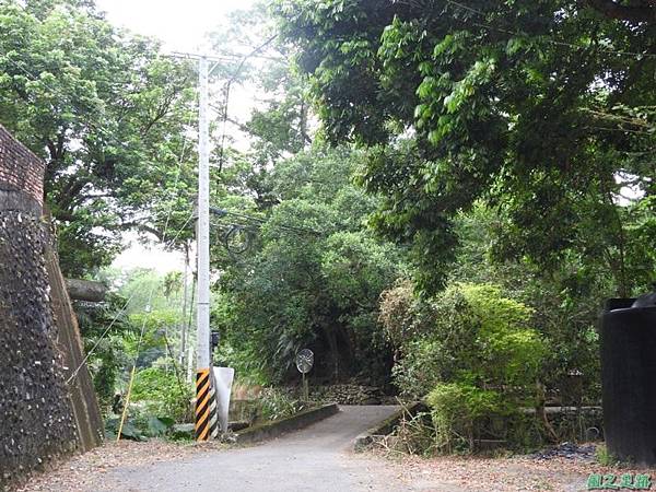 仁和大樟樹公20161112(40)