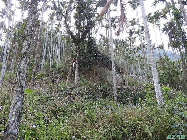 深坑山20170304(3).JPG