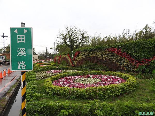 桃園彩色海芋節20170411(53) 桃園彩色海芋節20170411(53)