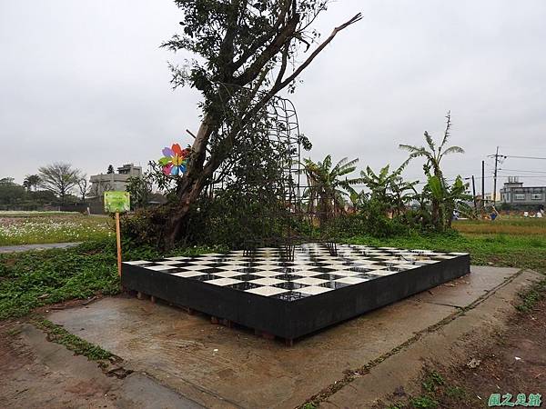 桃園彩色海芋節20170411(71)