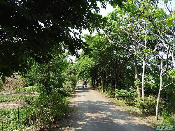 甘家堡20170430(8)