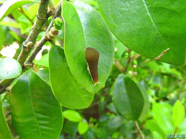 甘家堡20170430(9)