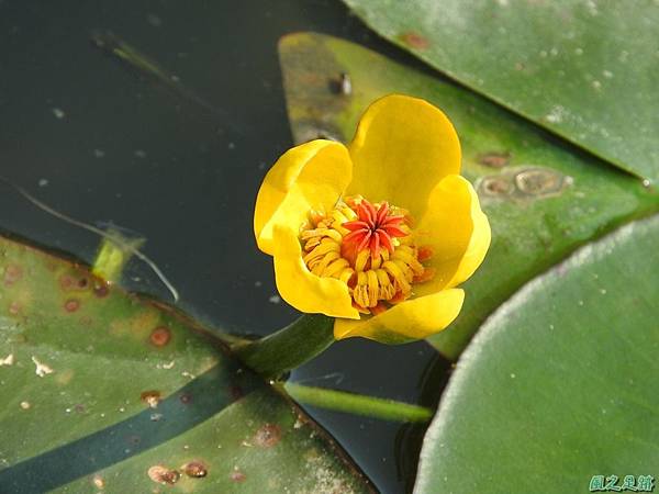 甘家堡20170430(12)