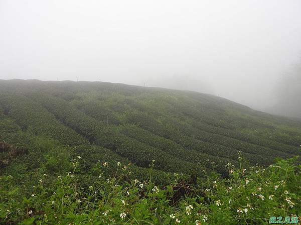 母安山20160917(1)