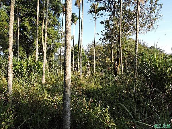 北觀音山20150926(11)