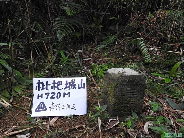 枇杷城山20170610(19) 枇杷城山20170610(19)