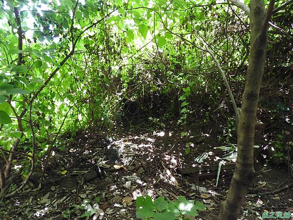 桂子山20170710(12)