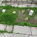 通霄神社20090426(23)