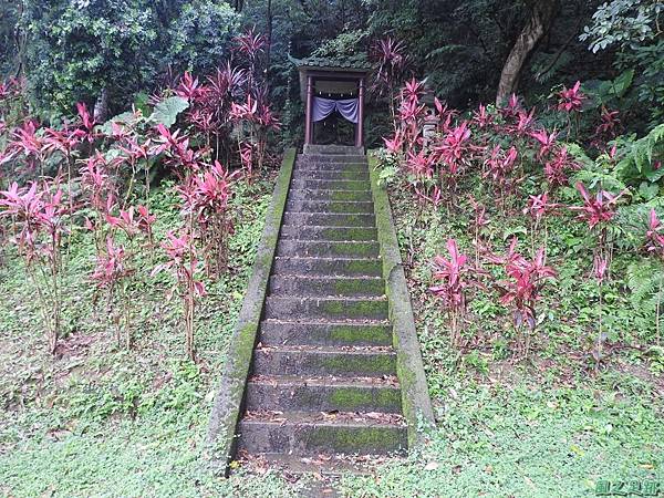 圓山水神社20160609(9)