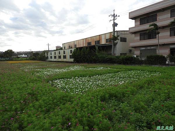 花彩節大溪場區20171127(33)