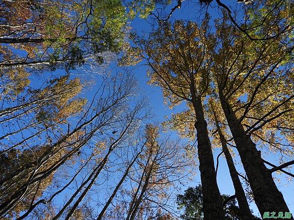 軍艦岩楓情20171230(30)