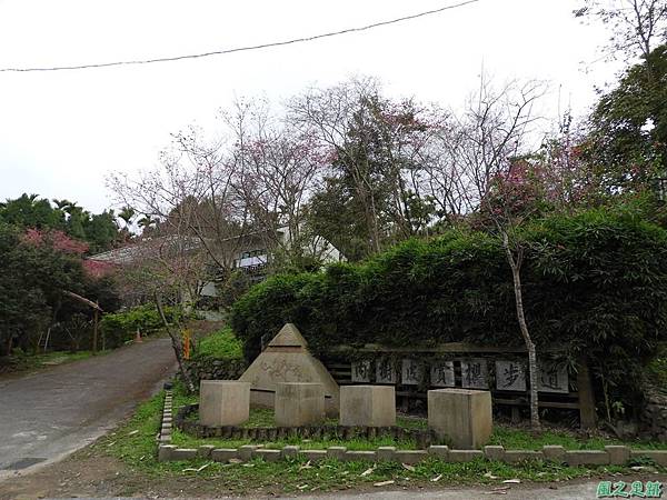 和雅谷櫻花園20180224(24)