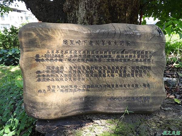 埔里愛蘭老樹20170916(1)