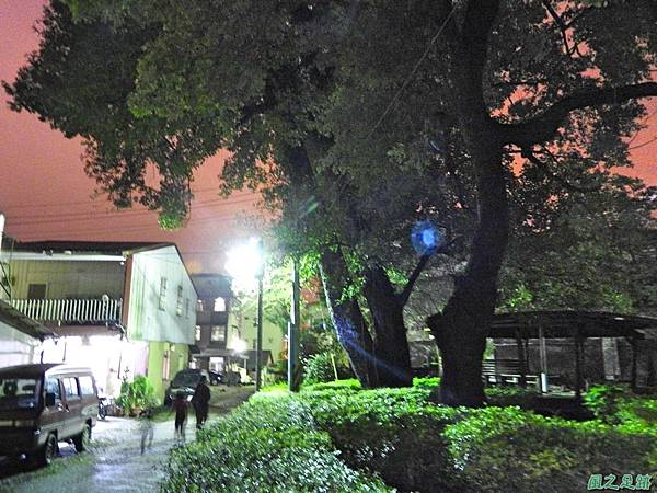 蜈蚣社區楓香老樹群20160917(18)