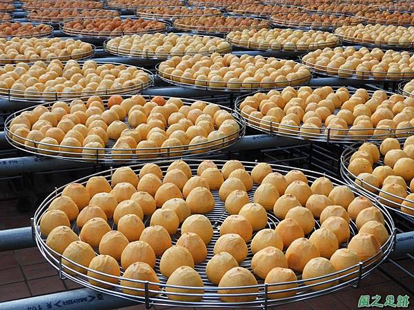 2018新埔柿餅節20181010 (11)