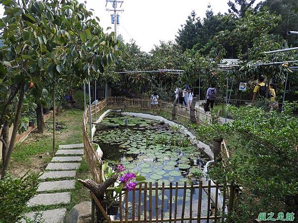 2018新埔柿餅節20181010 (21)